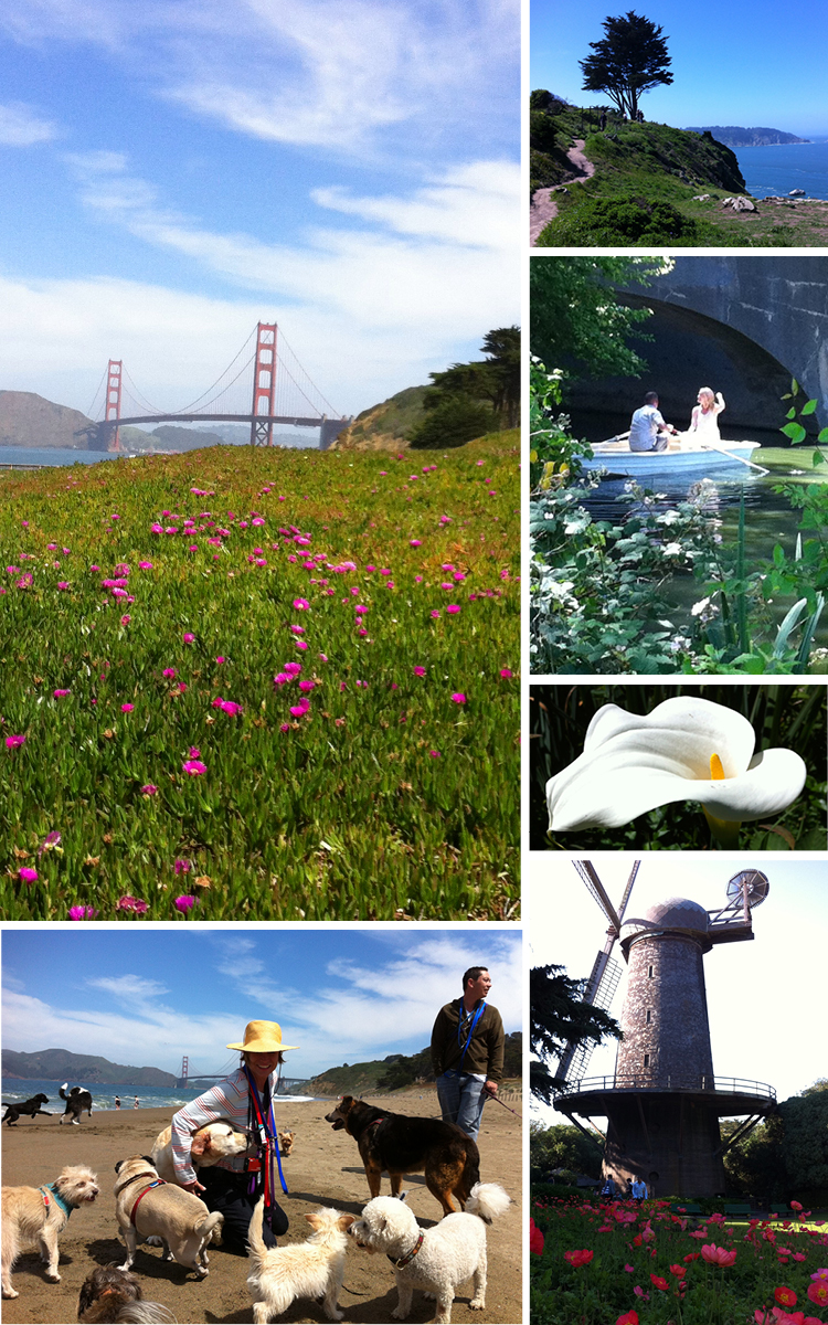 San Francisco's Golden Gate Park