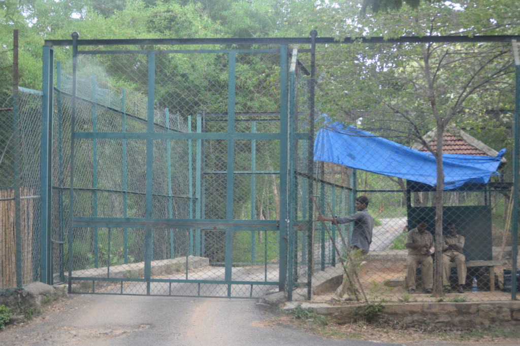 Bus cage to enter safari