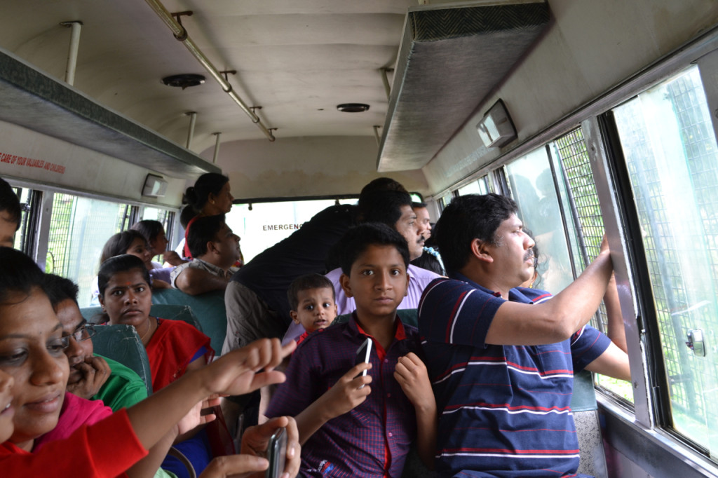 Safari bus companions